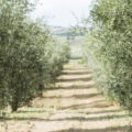 Sustainability in private label