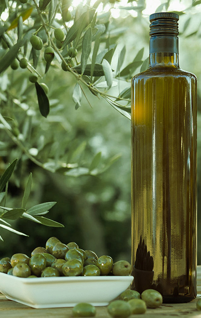 Certified Origins olive tree in Italy